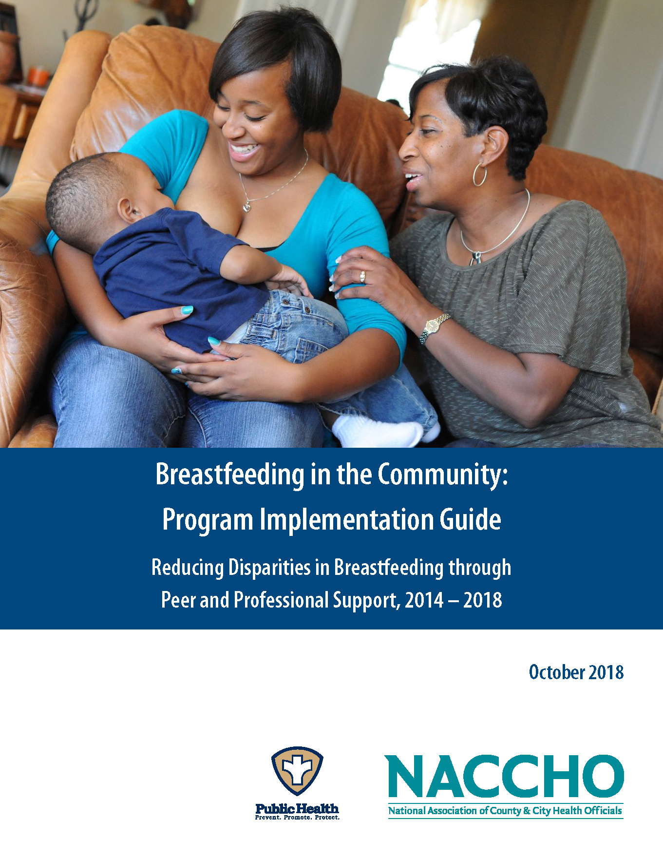 Breastfeeding in the Community: Program Implementation Guide